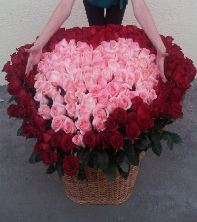 Red n Pink Heart